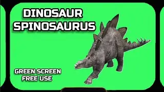 DINOSAUR SPINOSAURUS video Green Screen animation. CHROMAKEY FOOTAGE on the green screen.