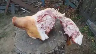 Шашка гурда 675 г. Мастера ИЗ. 2 часть из 5-ти.