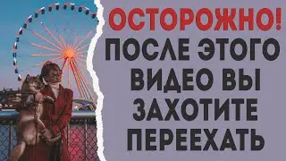 Жизнь в США: 10 причин полюбить Америку