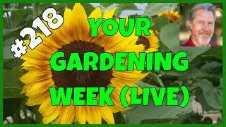 When Is the Gardening Season Really Over? (Q&A)