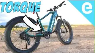 Electric Torque Sensing Beast | Hovsco HovAlpha Fat Tire eBike  [Sponsored]