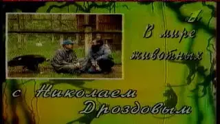 (архив) УРТР, ОРТ (В мире животных, Куклачев), ТВ6/АСВ, 5 канал, СОВ-СЕК (отрывки) (не монтировано)