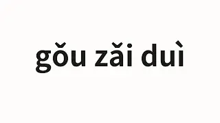 How to pronounce gǒu zǎi duì | 狗仔队 (Paparazzi in Chinese)