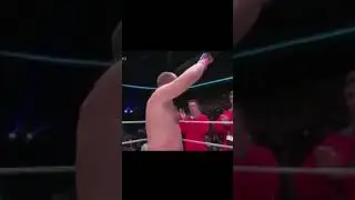 Федор Емельяненко против огромного корейца