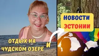 Чудское озеро в Эстонии.Рубрика новости Эстонии.Дачные будни.Наблюдаем за жизнью лесных птиц.Влог