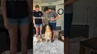 Dog favorite parent challenge! 