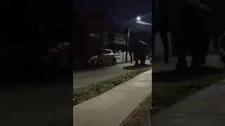Elephant spotted walking on street in Caloto, Cauca, Colombia