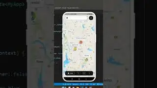 flutter app