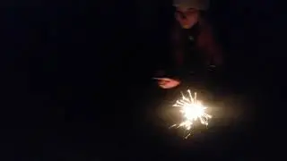Бугай Алабай. Встретили 2020😆. Жизнь продолжается