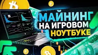 Майнинг на ноутбуке за 150 000р / Выгодно ли?