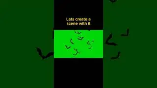 bats green screen effect into video
