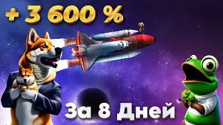 + 3 600 % за 8 Дней Shiba inu - PEPE и ...  ?, BTC Инвестиции криптовалюту 2023