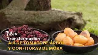 Transformación ají de tomate de árbol y confituras de mora- TvAgro por Juan Gonzalo Angel Restrepo