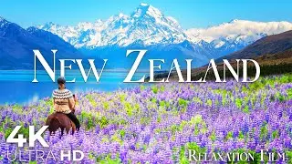 New Zealand 4K Ultra HD | Paradise on Earth - Horizon View of Oceania by Relaxation Film