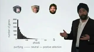 Measuring Selection – Purifying vs. Diversifying: Harmit Malik (FHCRC/HHMI)