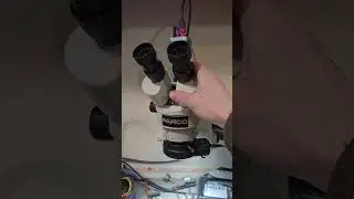 I Gave My Microscope Away To A Discord Member... #giveaway #giveaways #viral #fypシ #fyp #foryou