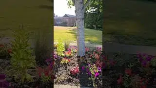 #Summer