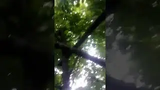 домик на деревне