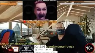 Бухой мопс