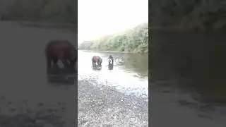 Якутия как живут люди 😂,