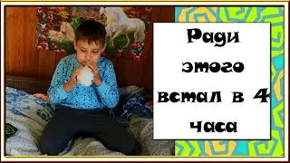 Квест по поиску подарка дома на 10 лет. День рождения Тимофея