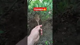 Поиск метала /// Квазар АРМ