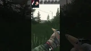 Чит на инсульт. Тарков