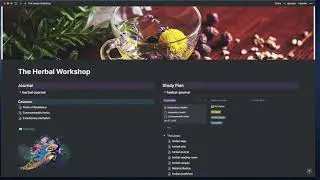 Use Notion to organize your Herbal studies
