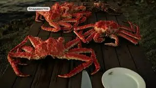 Рисуй краба. Дальневосточный деликатес объединил искусство кулинарное и живописное