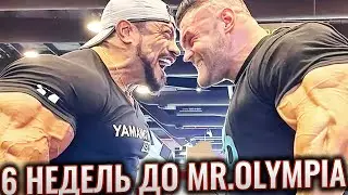 Мистер Олимпия 2021 | 6 недель До Шоу (Подготовка и тренировки участников)