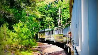 Unforgettable journey on Stone Mountain Railway, GA