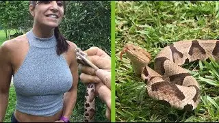 Got too close to copperhead snake!  Then used snake tongs to catch venomous snake!