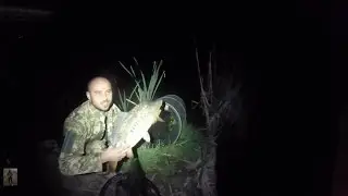 Попал на клев карпа. Ловля карпа на горох. Ловля карпа на донку ночью