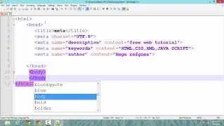 How To Use Meta Tag In HTML Tutorial | Using Meta Tags in HTML