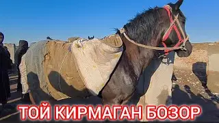 SARIOSIYO PAYSHANBA OT BOZORI