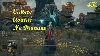 Erdtree Avatar No damage Boss fight Elden Ring 4k