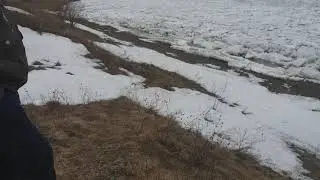 Ледоход на томи.