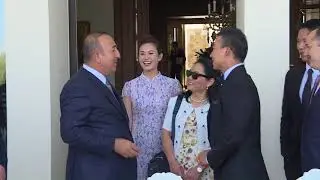 Turkish FM accepts Chinese star Will Liu