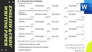 How to create English and Urdu Mix Writing Paper in MS Word
