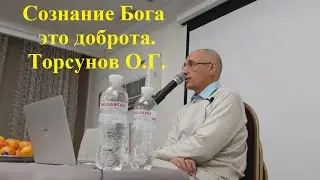 Сознание Бога это доброта. Торсунов О.Г.