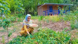 IRAN Village Life | Daily Village Life in the Mountains of Iran