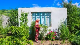 IRAN Village Life | Daily Village Life in the Mountains of Iran