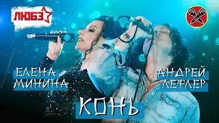 #АндрейЛефлер