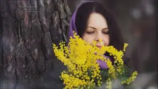 Веточка мимозы сл.Вера Абрамова, муз. Олег Благов, исп. Алексей Бочаров