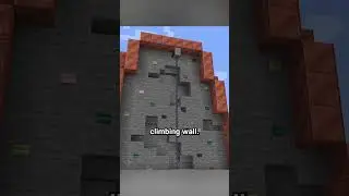 rock climbing wall