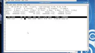 Linux Process priority