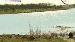 В минувшее воскресенье, 17 ноября,  отмечался международный день студентов