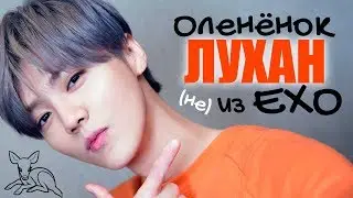 ОЛЕНЁНОК ЛУХАН (не) ИЗ EXO | LUHAN | ARI RANG
