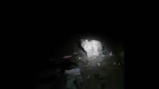 Рысь вышла к людям в Чите