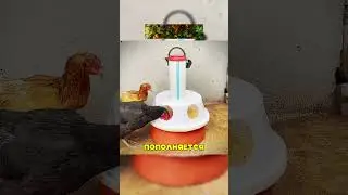 🤬Псих заставил всех заплатить ему😎